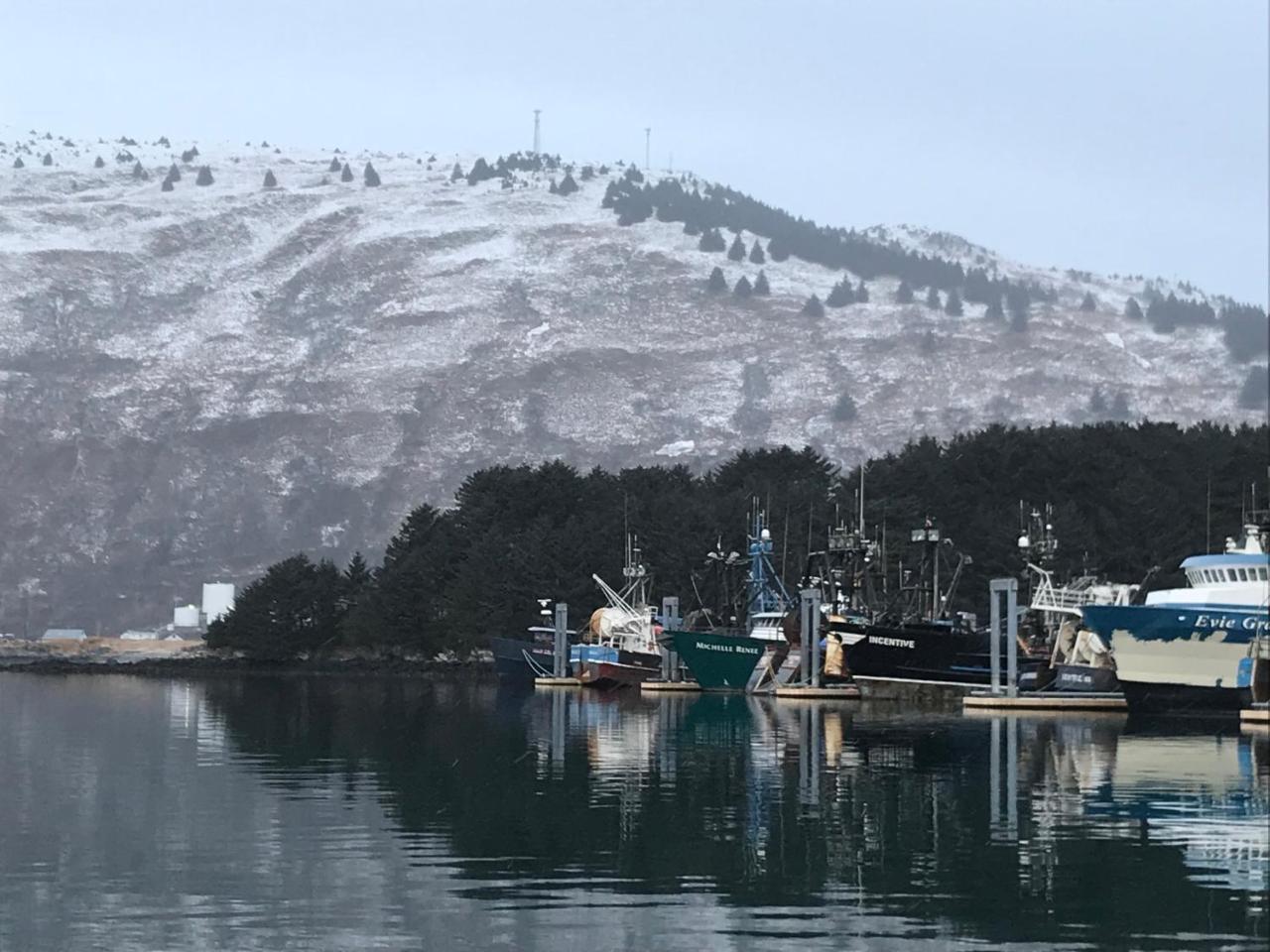 Goldilocks Bed & Breakfast Kodiak Esterno foto